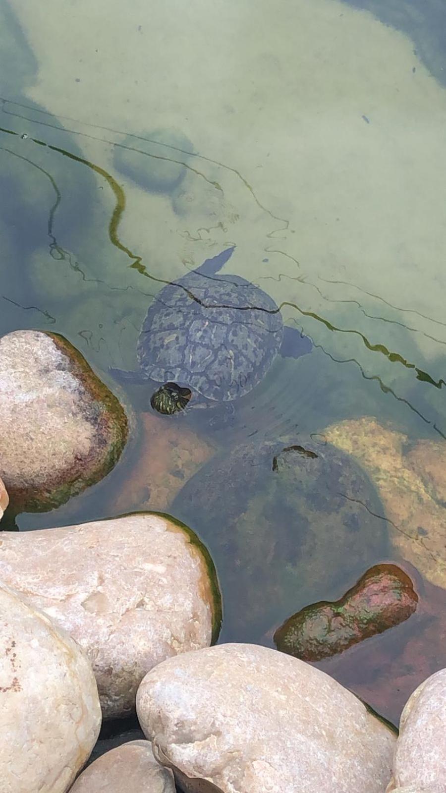 Pousada Vo Lica Com Piscina Penha  Exterior foto